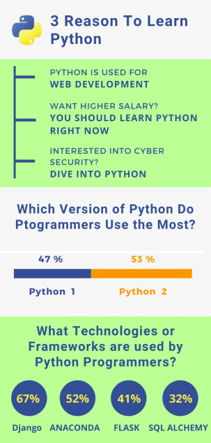 python pros and cons infographic