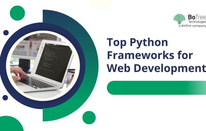 Python Frameworks for Web Development