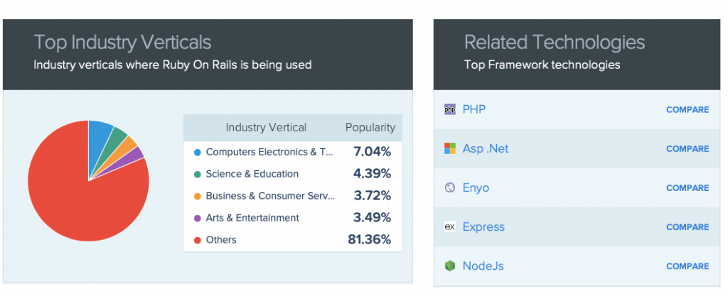 market share diversification of Ruby on Rails in multiple areas