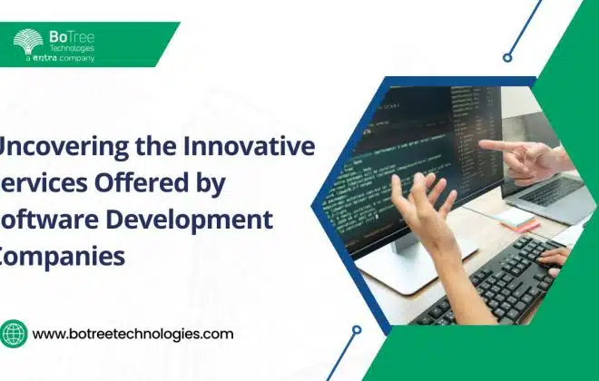 Services Offered by Software Development Companies