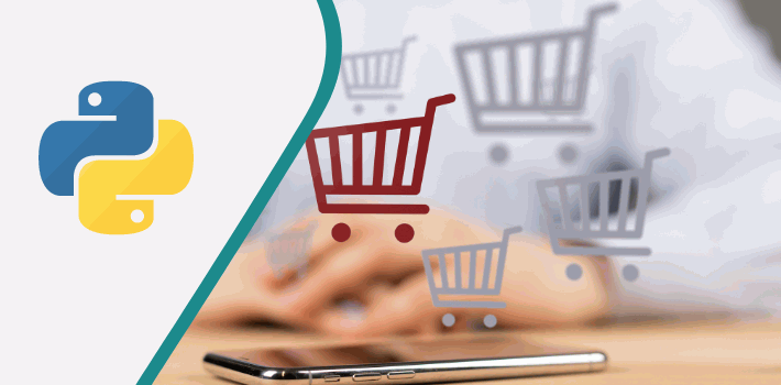 eCommerce Website Development Company