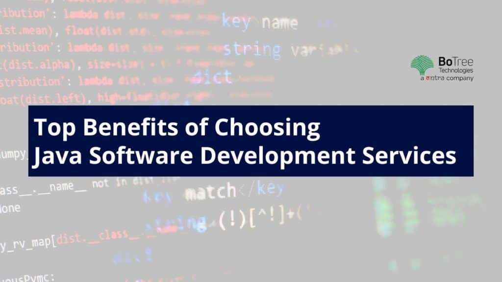 Java Software Development Services
