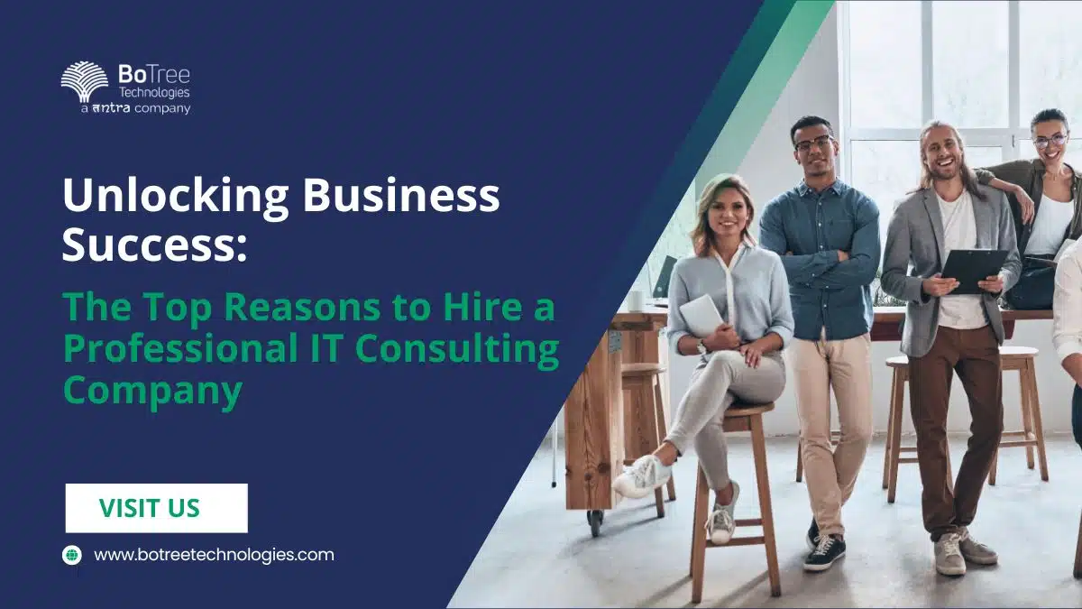 Reasons to Hire a Professional IT Consulting Company
