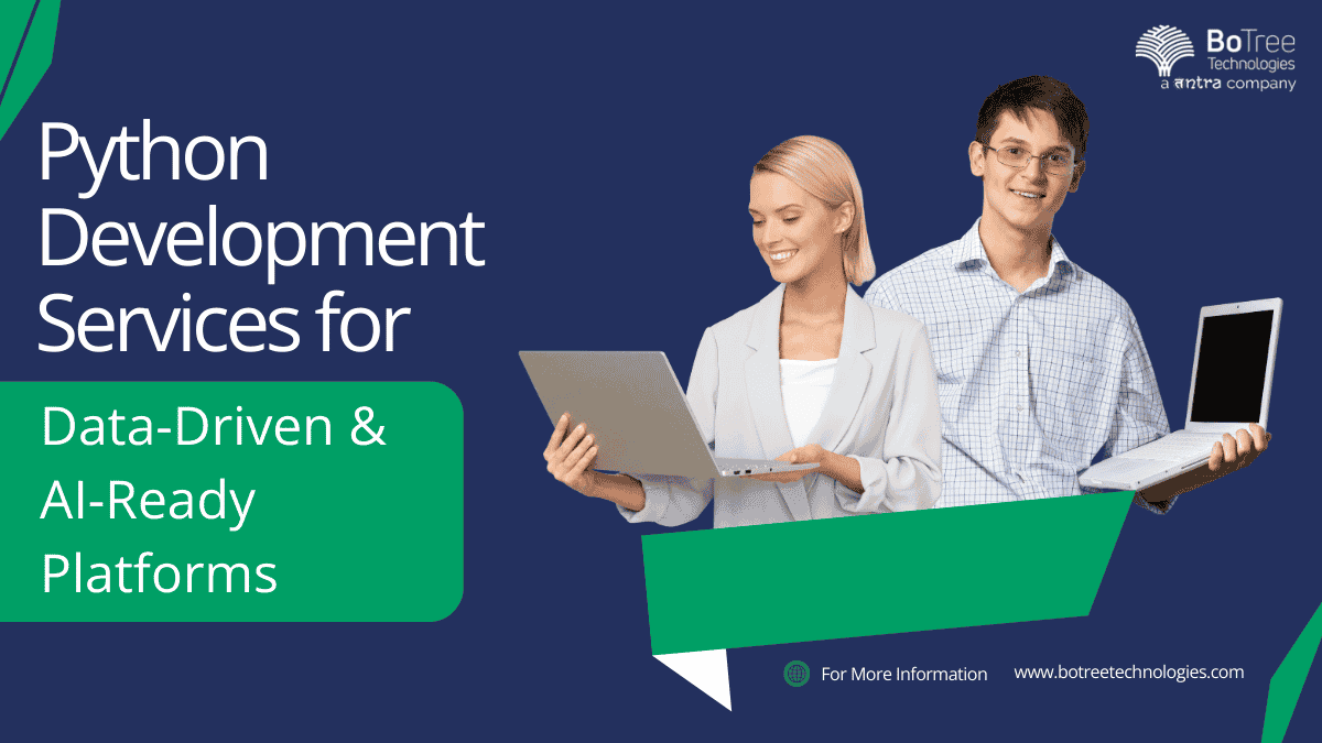 Python Development Service