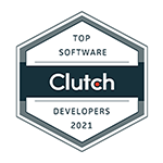 top custom software developers