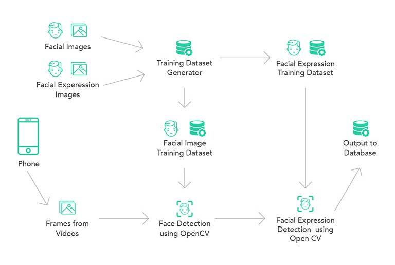 Video Processing & Facial Expression Analysis case study